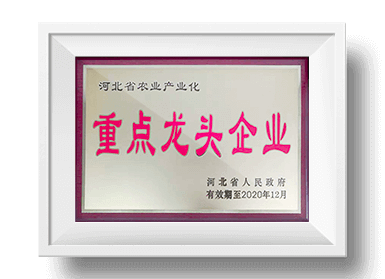 九游娱乐充值官网电话